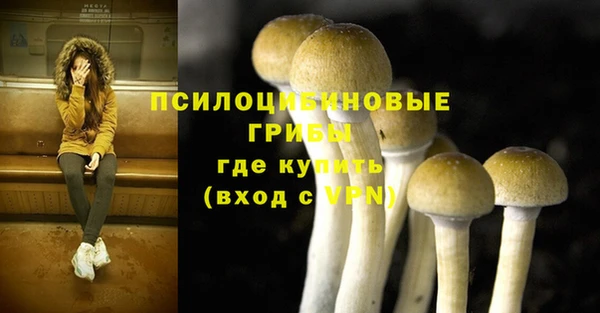 МДПВ Каменка
