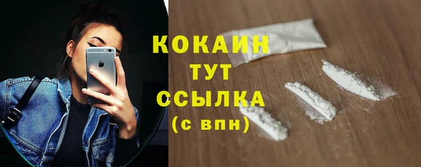 МДПВ Каменка