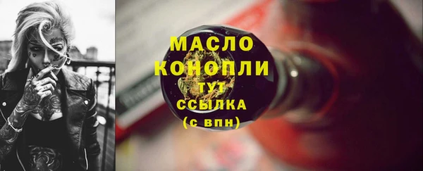 МДПВ Каменка