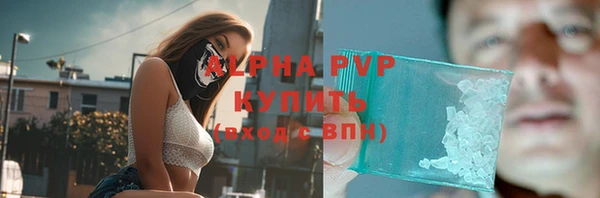 МДПВ Каменка