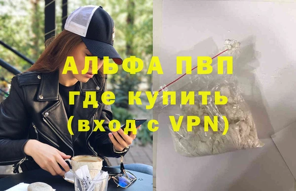 стафф Каменногорск