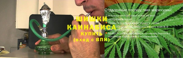 стафф Каменногорск