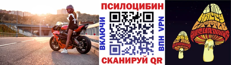 Купить где  Ейск  Галлюциногенные грибы Cubensis 