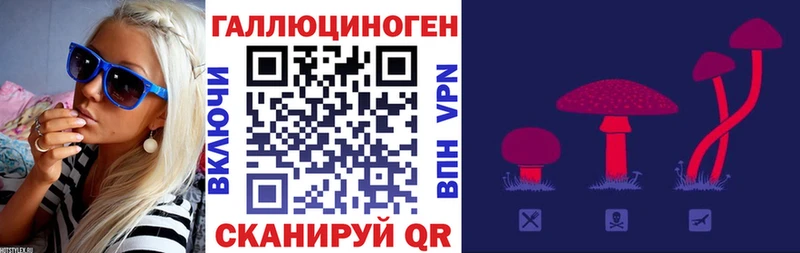 Псилоцибиновые грибы Magic Shrooms Ейск